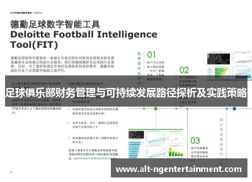 足球俱乐部财务管理与可持续发展路径探析及实践策略